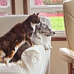 Meet your Posher, Jolynn